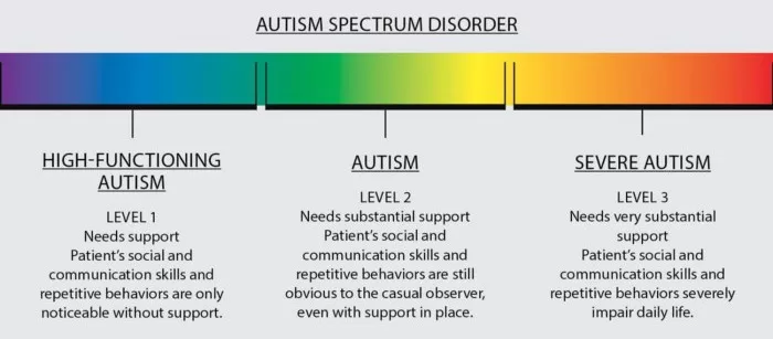 Autism Spectrum Disorder