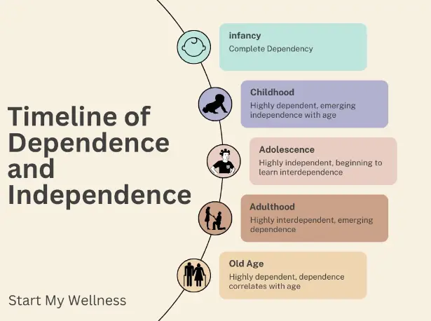 Timeline of dependence and independence - infancy through old age
